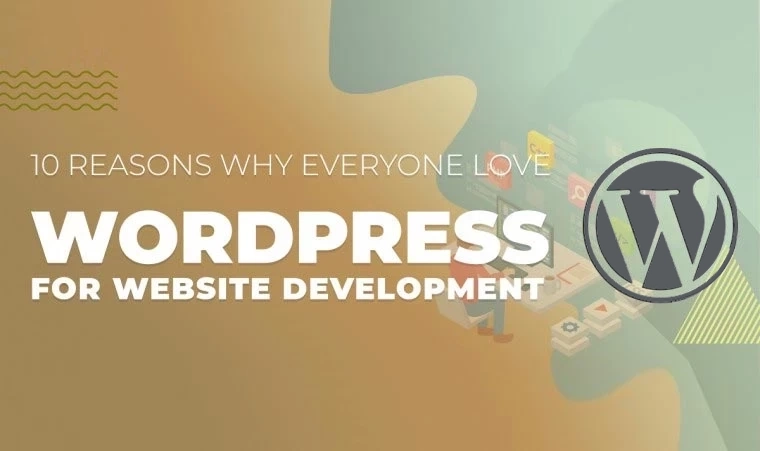Reasons Why Everyone Love WordPress for Website Development