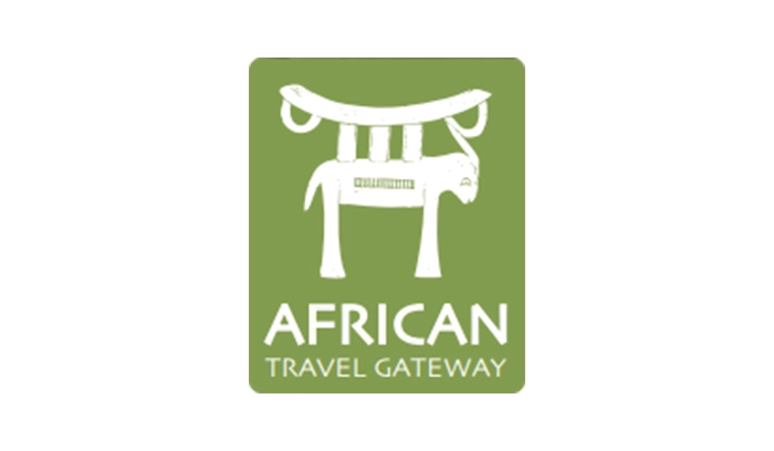 Planning a luxury safari in African destinations