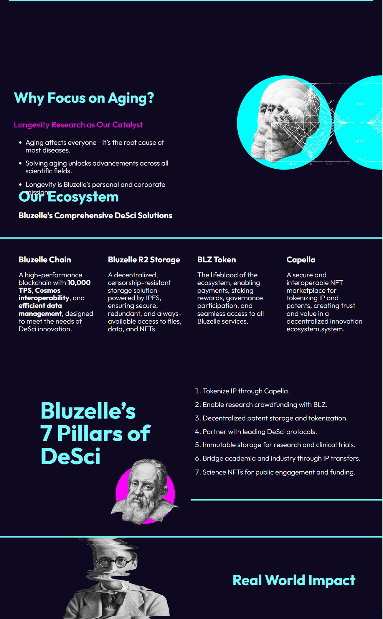 Bluzelle – AWS Infrastructure detail image 2