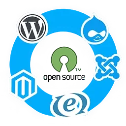 Open Source Development